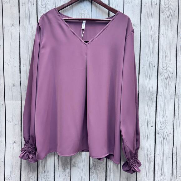 Funlingo Tops - NWT Funlingo Mauve Long Sleeve Blouse Size 3X
